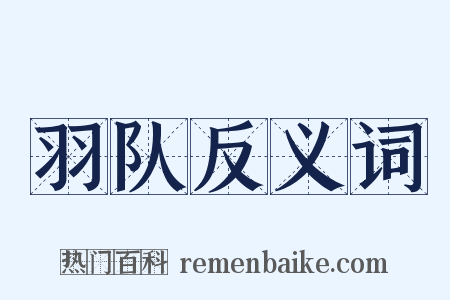 羽队反义词是什么意思的图片